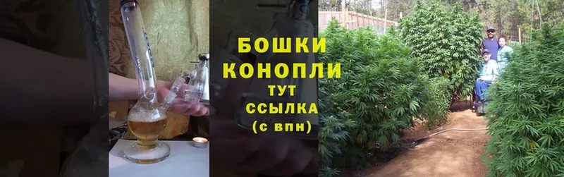 Каннабис SATIVA & INDICA  наркотики  Губаха 